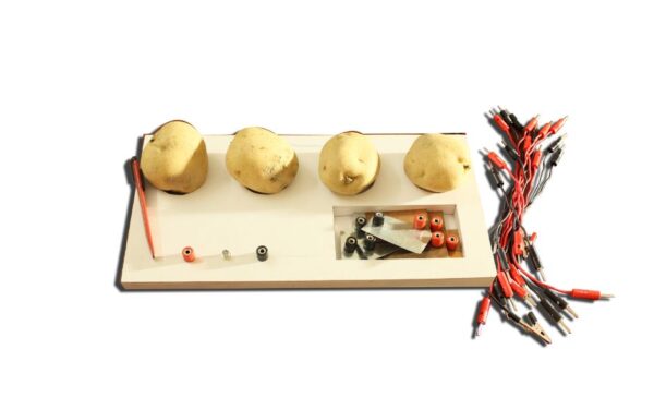 TESTING THE EFFECT OF ELECTRIC CURRENT ON POTATO