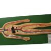 HUMAN CIRCULATORY SYSTEM MODEL