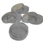 PETRI DISH - pack of 5