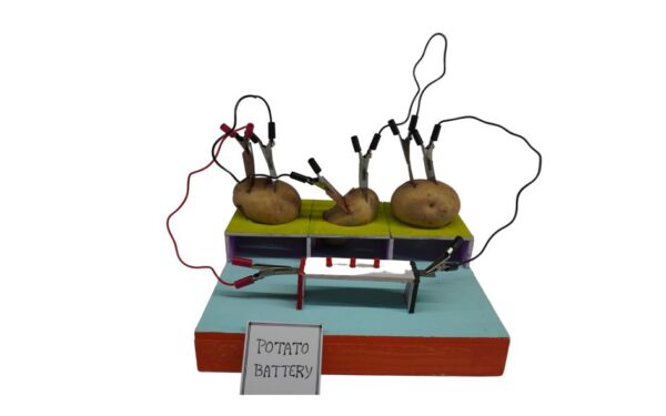 Potato Battery - Full Kit