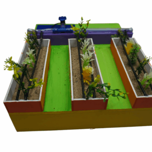Drip Irrigation